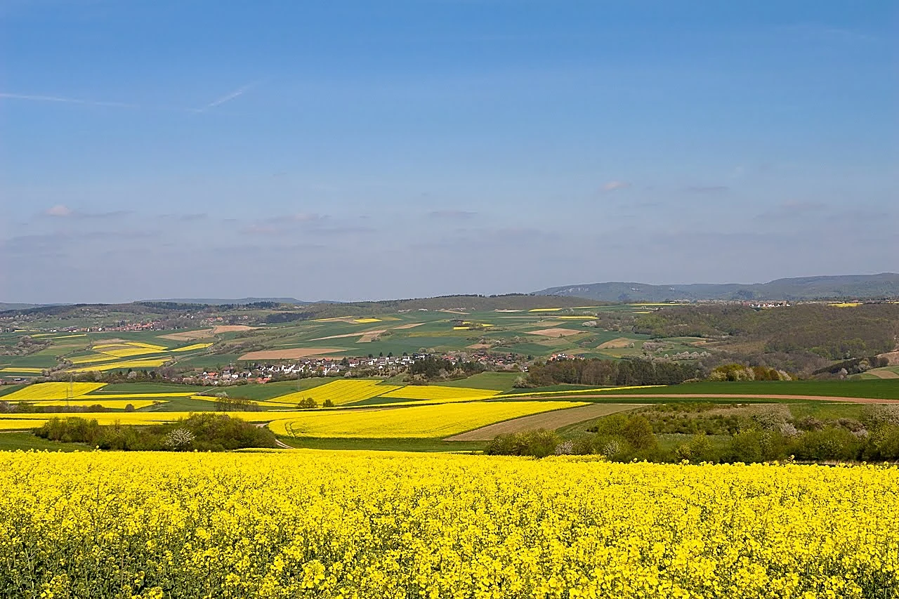 Weiter Blick über blühende Rapsfelder, Wiesen und Dörfer in hügeliger Landschaft