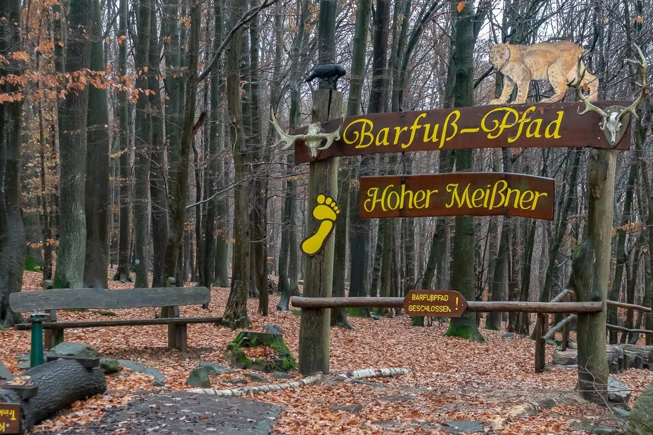 Holzschild „Barfuß-Pfad Hoher Meißner“ im herbstlichen Buchenwald